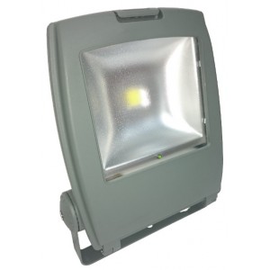 50W Maintained IP65 LED Flood Light